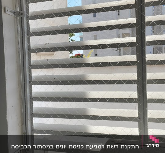 רשת מתכת על חלון למניעת כניסת יונים